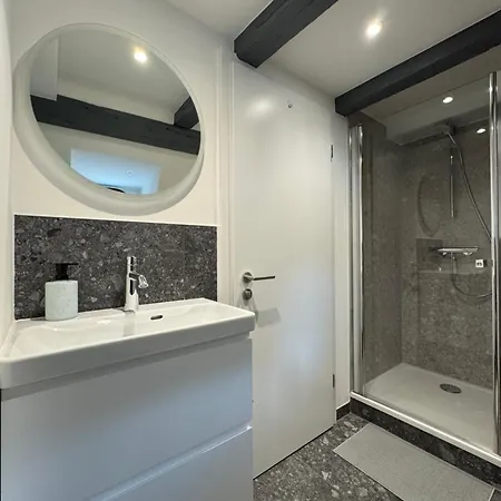 Apartment Le Salzmann