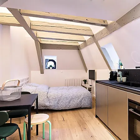 Le Salzmann Apartment *