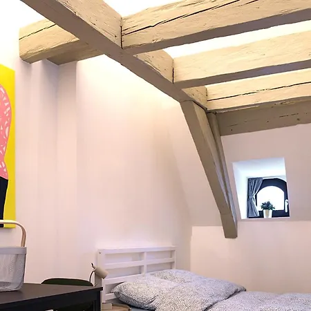 Le Salzmann Apartment Strasbourg