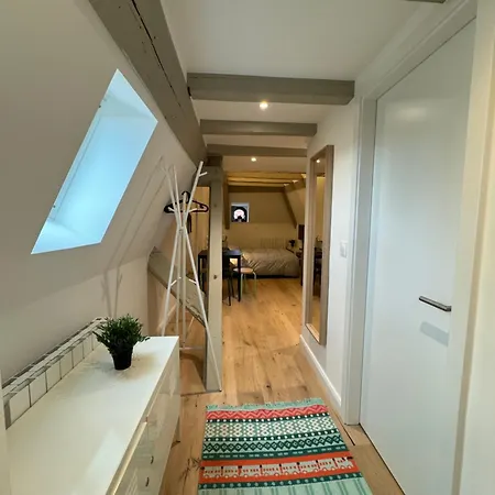 아파트 Le Salzmann 스트라스부르