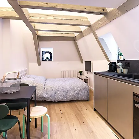 Le Salzmann Lägenhet Strasbourg